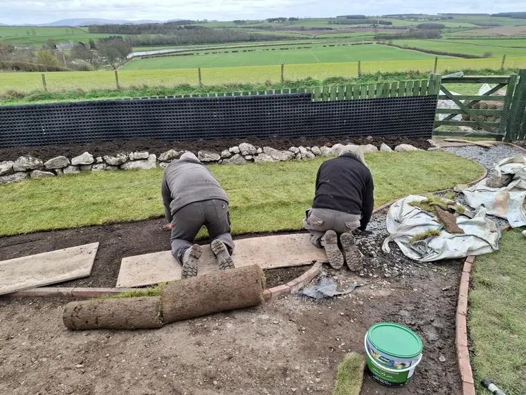 Laying turf tight to the edging, butted and rolled so the joints knit in within a season.