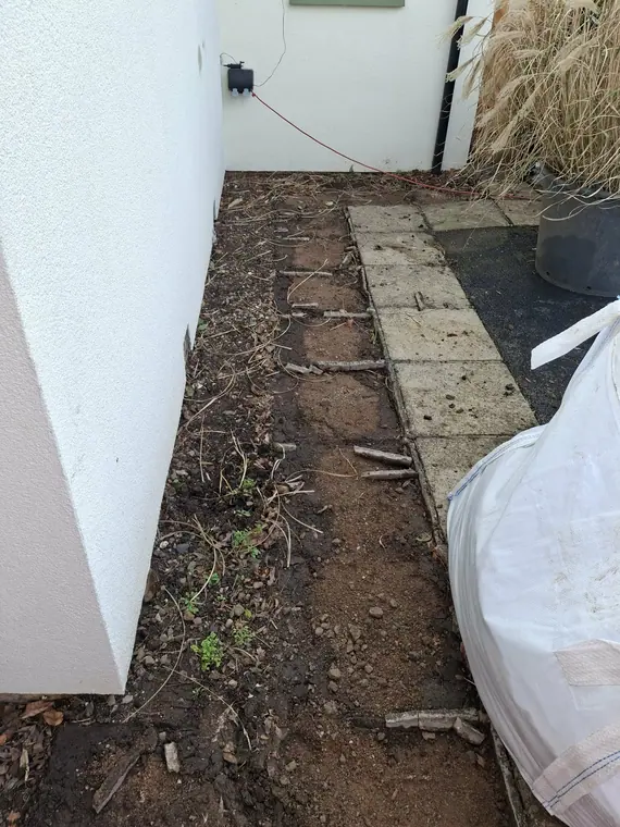 A neglected side passage before clearing — narrow access is normal here, and it gets handled.