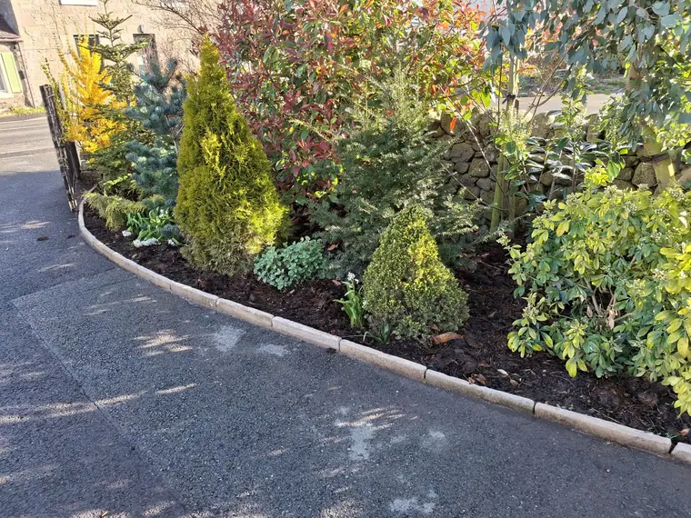 A roadside border planted for year-round structure, kerbed cleanly against the tarmac.