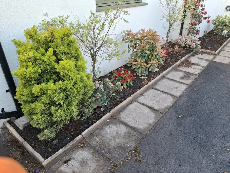 Slab edging laid to the bed line so the mower runs straight past without catching the planting.