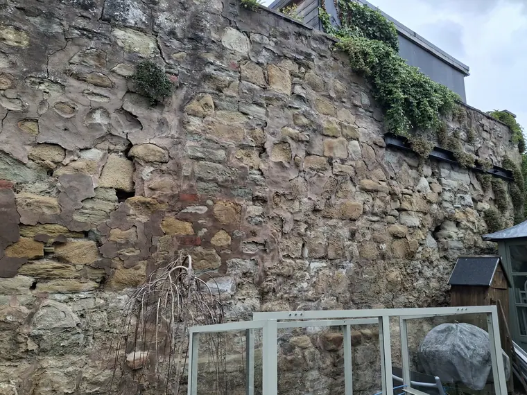 Failed mortar joints and self-seeded growth on an old Borders rubble wall, before any work began.